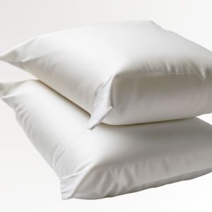 FP Bamboo Pillowcase Set